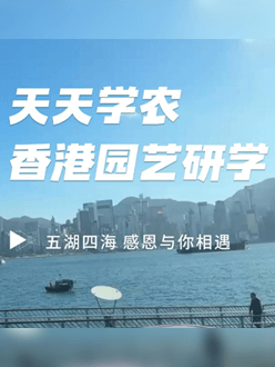 与香港园艺学会联合举办香港园艺研学，专业园境师带队讲解。