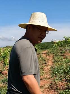 农业人叶涛，50多岁通讯人跨界搞农业，他要用1000万打造一个梦。